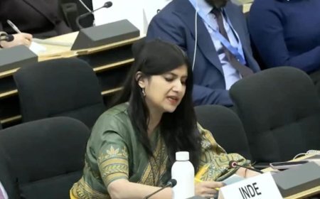 कश्मीर का बजट IMF भीख से ज्यादा: UN में भारत की बेटी ने पाकिस्तान को धो डाला