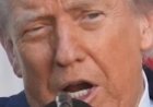 Iranian Adviser Mahdi Mohammadi Rejects Trump’s “Ceasefire Extension” Remark: Says US and Iran Are Not at War.