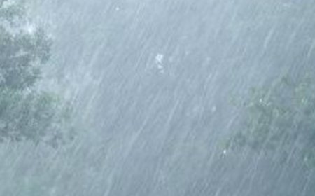 Pre-Monsoon Effect Continues .Heavy Rain Alert Issued by IMD for Next 5 Days.