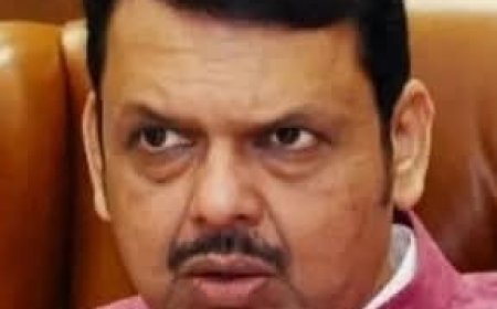 जपानी मेंदूज्वराविरोधात महाराष्ट्र सतर्क; लसीकरण मोहिमेला वेग  -मुख्यमंत्री देवेंद्र फडणवीस.