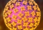 World Now in Grip of Disease More Dangerous Than Corona, Will Lockdown Return? Concern Rises.