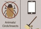 Trouble for Cockroach Janata Party: EC Rules Bar Animals Since 1991.