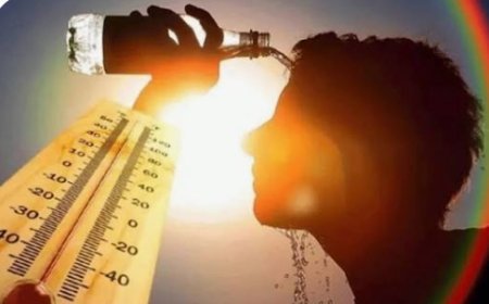 IMD उष्णतेच्या लाटेचा इशारा: 12, 13, 14, 15, 16 आणि 17 मे रोजी 'या' भागात लूचा तडाखा? IMD कडून हीटवेव्ह अलर्ट जारी.