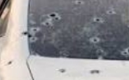 9-Year-Old Girl Killed in Punjab After Police Mistakenly Open Fire on Family’s Car During Robbery.