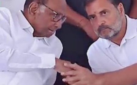 No Merger With Congress: Sharad Pawar's NCP Rejects Nana Patole Claim, Says 'No Proposal Discussed'.