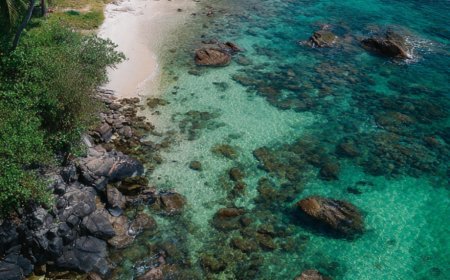 Vietnam Boat Accident: Indian Tourist Killed Near Phu Quoc, Embassy Monitoring Situation.