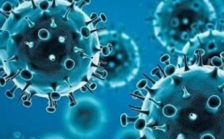 "COVID-19 Omicron RF.5 Variant Detected: WHO Says No Cause for Panic, Symptoms Mild".
