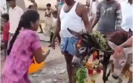 Wedding Bells for Donkeys: Andhra Farmers Marry Donkeys to Please Rain Gods".