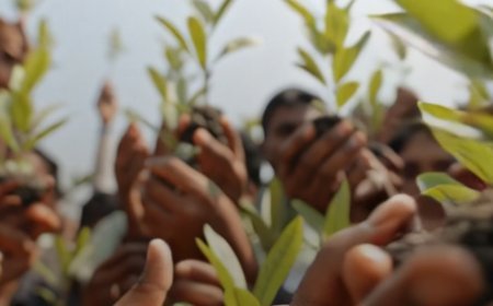 "From Khejarli To Narmada: The 4 Grassroots Movements That Shaped India's Environmental Activism"