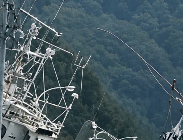 "7.1-Magnitude Quake Hits Japan: Tsunami Warning Issued, Dozens Injured, Several Feared Dead".