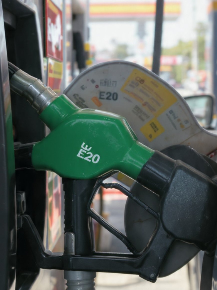 E20 Petrol Reality Check: YouTuber Says Mileage Dropped From 17 KMPL To 5 KMPL.