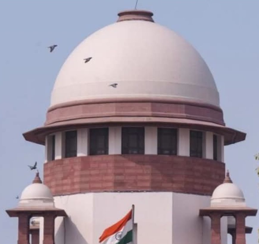 "Removing Salwar, Pressing Chest: SC Questions Patna HC's Ruling on Attempt to Rape".