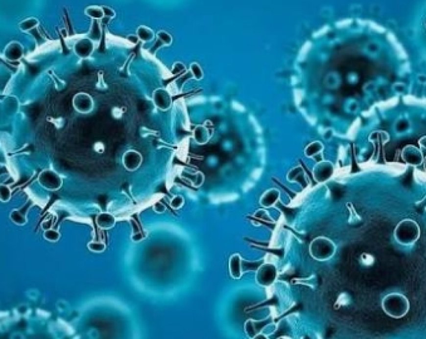 "COVID-19 Omicron RF.5 Variant Detected: WHO Says No Cause for Panic, Symptoms Mild".