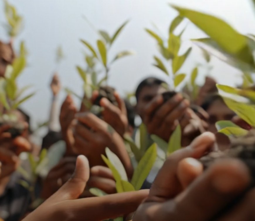 "From Khejarli To Narmada: The 4 Grassroots Movements That Shaped India's Environmental Activism"