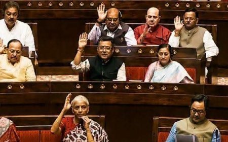 "Rajya Sabha Passes Birth-Death Bill 2026: Court Approval Needed If Registration Delayed Beyond 2 Years"