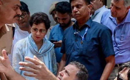 Jantar Mantar Clash: FIR Filed After Rahul Gandhi Meets DCP With Injured Student