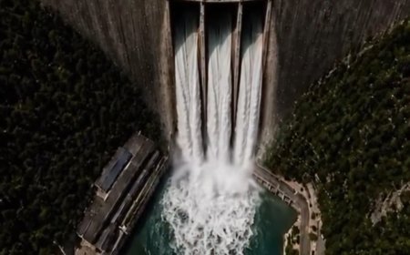 63-Year-Old Bhakra Dam Faces Fresh Safety Concerns Amid Structural Movement