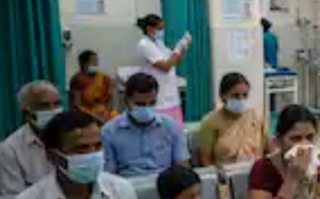 H1N1 Cases Surge Across India: Delhi, Karnataka, Maharashtra Among States Seeing Rise