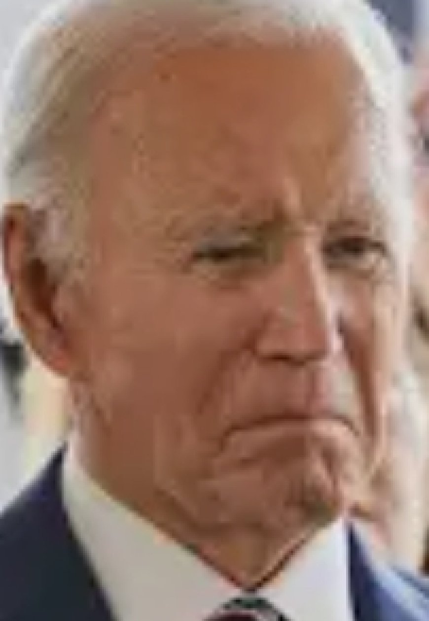 Hunter Biden Reveals Dad's Cancer Metastasized: 'Very Painful And Debilitating