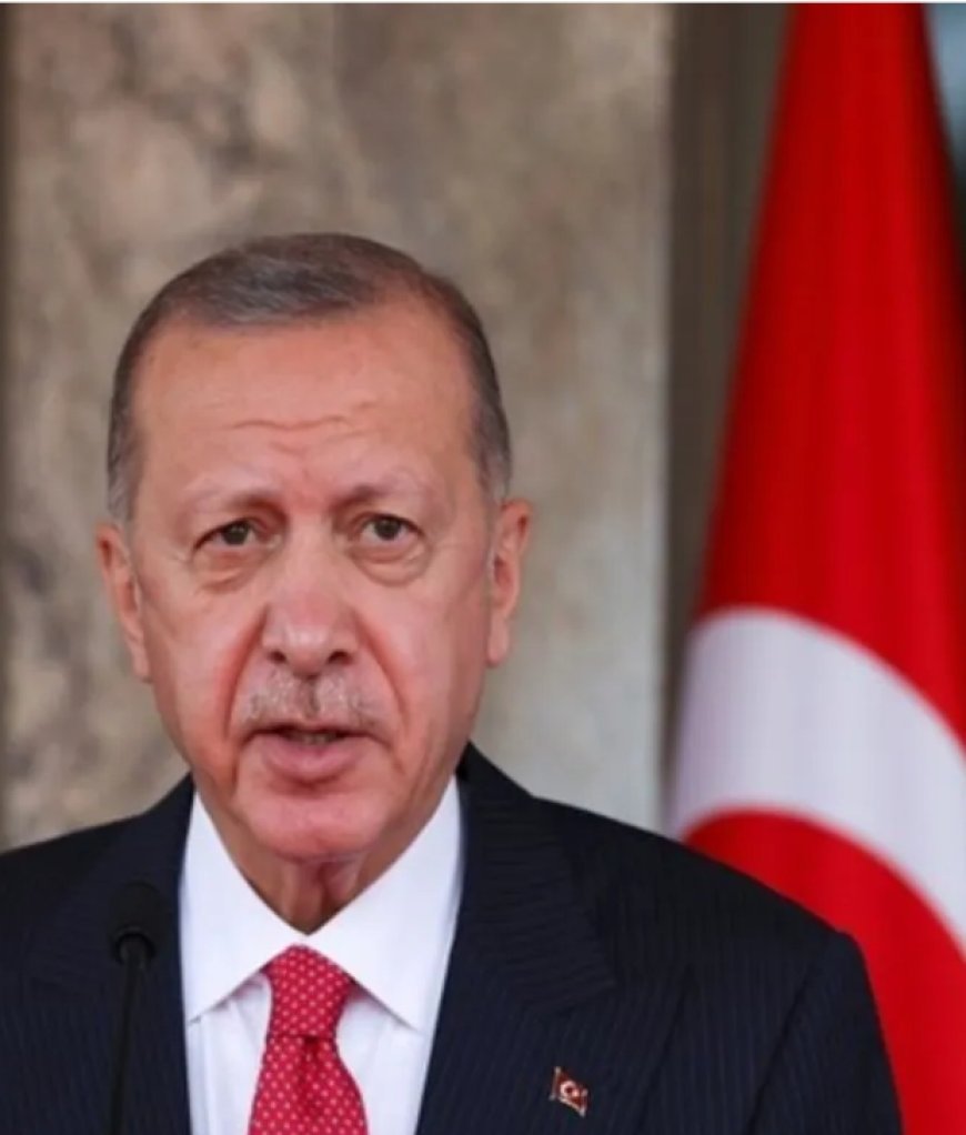 NATO Ally or Regional Challenger? Turkey’s Growing Power Raises Questions in Europe