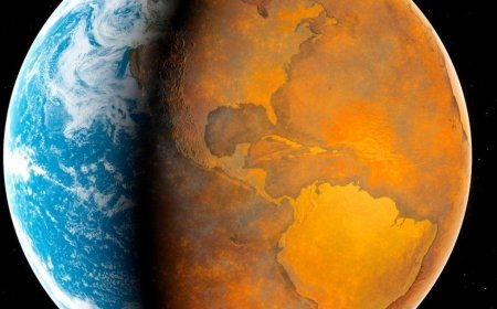 Elon Musk’s Stark Climate Warning: ‘We Have About 50 Years’ to Save Earth