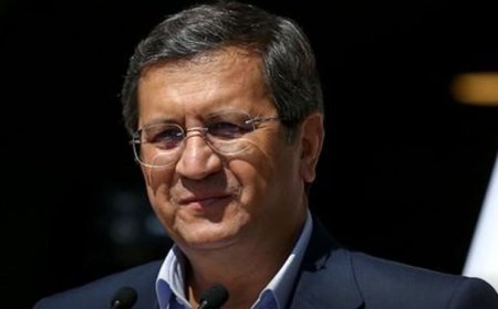 Iran Has Enough Forex Reserves, Ready to Pump $2 Billion Into Market: Central Bank Chief
