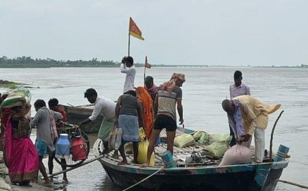 Unusual Fish Washed Into Bihar After Nepal Floods; Govt Issues Advisory