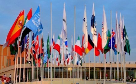 G20 Countries Compared: US Leads in Per-Capita Income, India at the Bottom