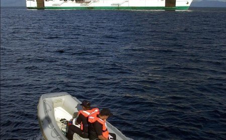 Philippines Ferry Fire: 5 Dead, 86–87 Missing After MV June Aster Blaze
