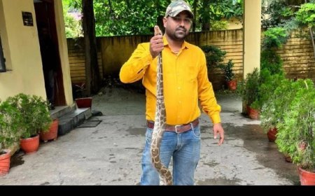 Cobra Scare at MS Dhoni’s Ranchi Farmhouse; Snake Rescued Safely
