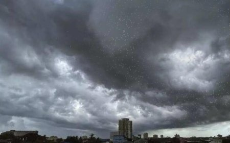 Maharashtra Rain Alert: Heavy Rain Likely in Several Districts; Punjabrao Dakh Issues Warning