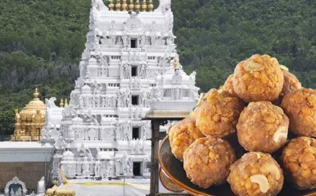 Tirupati Laddu Ghee Case: ED Arrests Sukriti Foods Promoter Over Alleged Adulteration