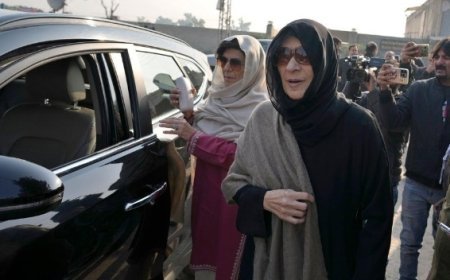 Aleema Khan Detained Under MPO Law; Imran Khan’s Family Alleges ‘Abduction’