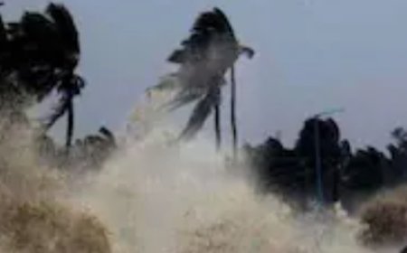 Cyclone ‘Arnab’ Threat: Andhra, Odisha and Bengal on High Alert