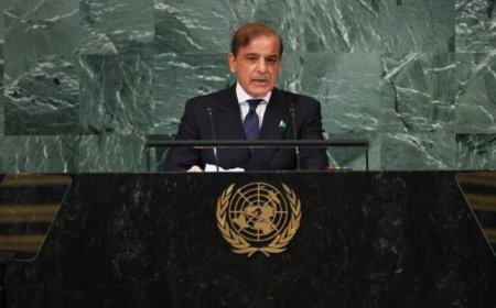 ‘Victory’ Claim at UN: Shehbaz Sharif’s Remarks Draw Visible Reaction From Indian Diplomat