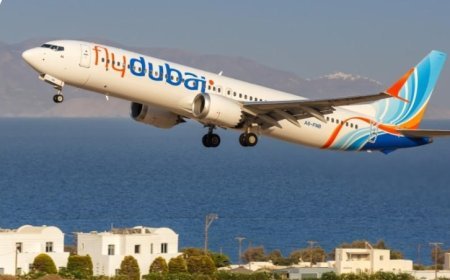 Flydubai FZ1073 Horror: Pilot Allegedly Tried to Crash Tel Aviv-Bound Plane Before Cockpit Stabbing