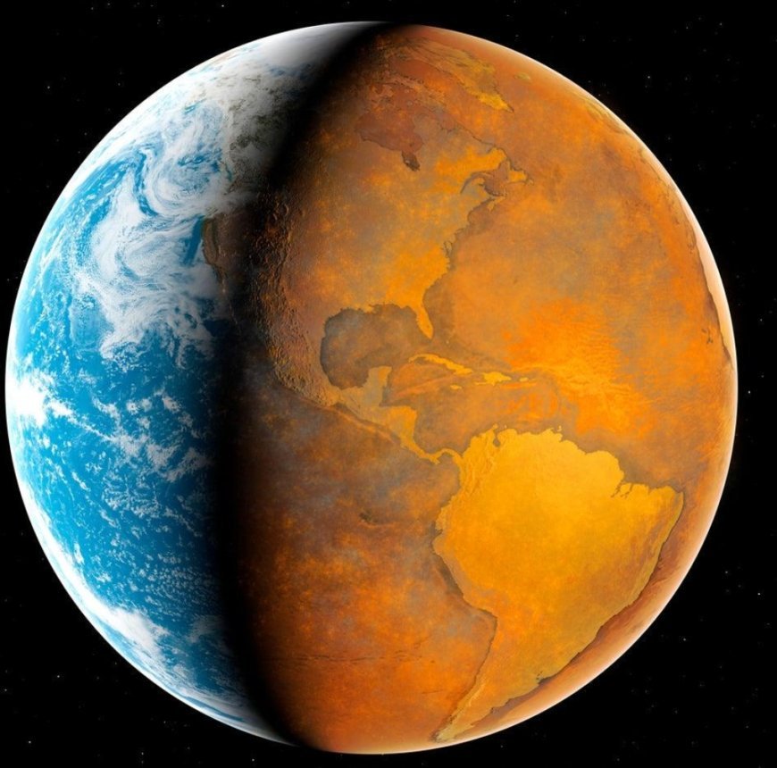 Elon Musk’s Stark Climate Warning: ‘We Have About 50 Years’ to Save Earth