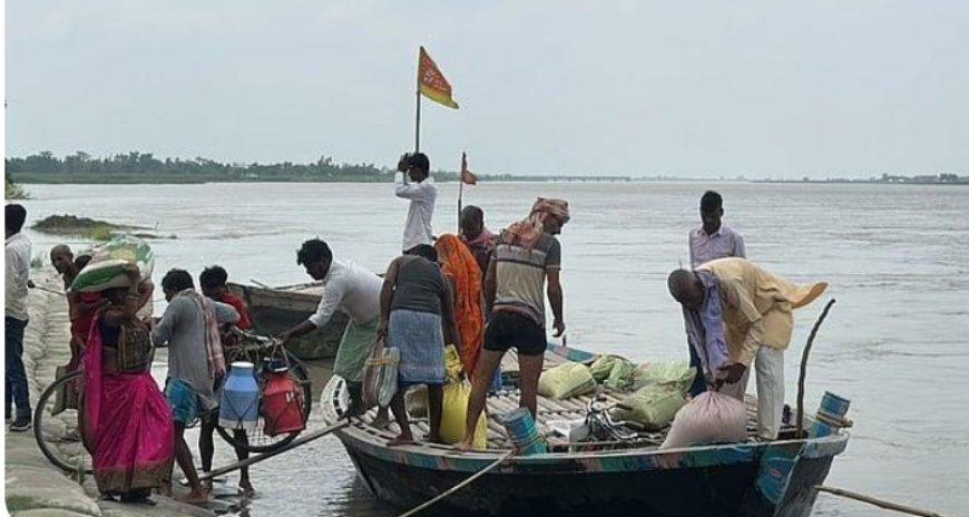 Unusual Fish Washed Into Bihar After Nepal Floods; Govt Issues Advisory