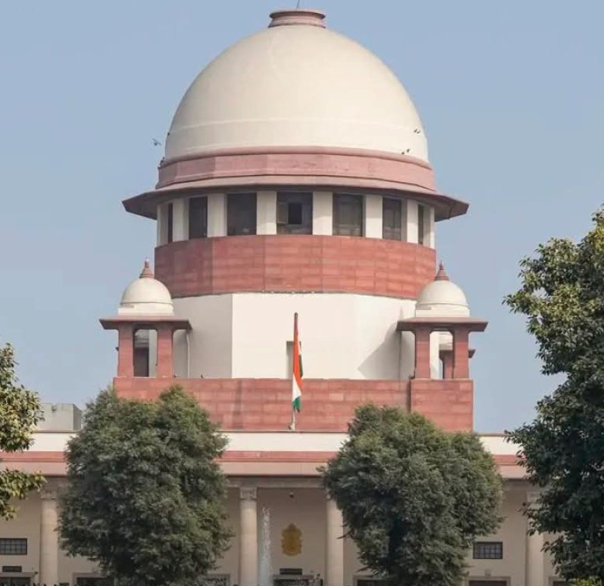 Supreme Court Demands Strict Action Against Politicians Accused of Assaulting Doctors