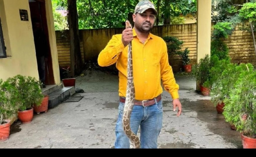 Cobra Scare at MS Dhoni’s Ranchi Farmhouse; Snake Rescued Safely