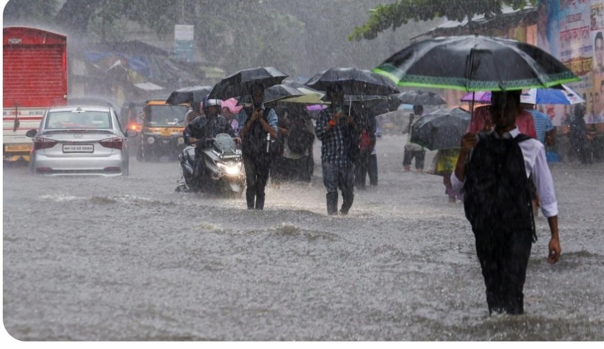Maharashtra Braces for Rain and Thunderstorms as IMD Issues Yellow Alert
