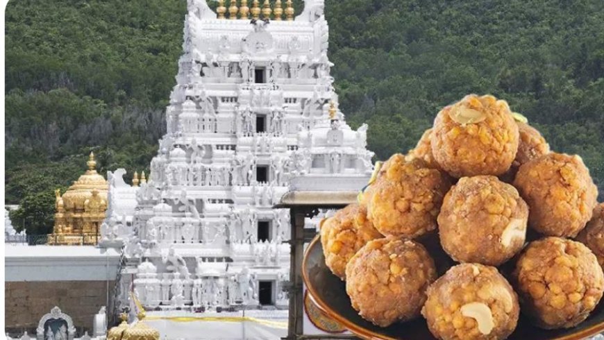 Tirupati Laddu Ghee Case: ED Arrests Sukriti Foods Promoter Over Alleged Adulteration