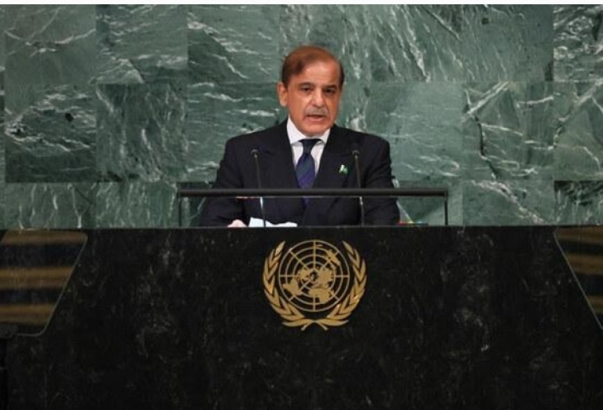 ‘Victory’ Claim at UN: Shehbaz Sharif’s Remarks Draw Visible Reaction From Indian Diplomat
