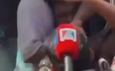 Jantar Mantar Protest: Video of Alleged Police Punch Goes Viral Amid Mass