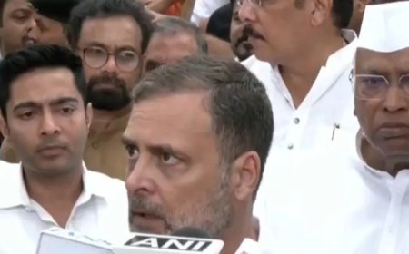 Rahul Gandhi Journalist Controversy: Richa Parashar Responds to Questions Over Her Pregnancy