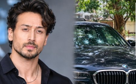 Tiger Shroff Firing Case Takes a New Turn; Accused Had Another Celebrity in His Sights, Reports Say