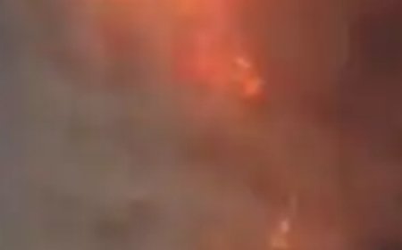 Bihar Blast: At Least 5 Killed In Explosion At Illegal Firecracker Unit In Siwan, SHO And Chowkidar Suspended