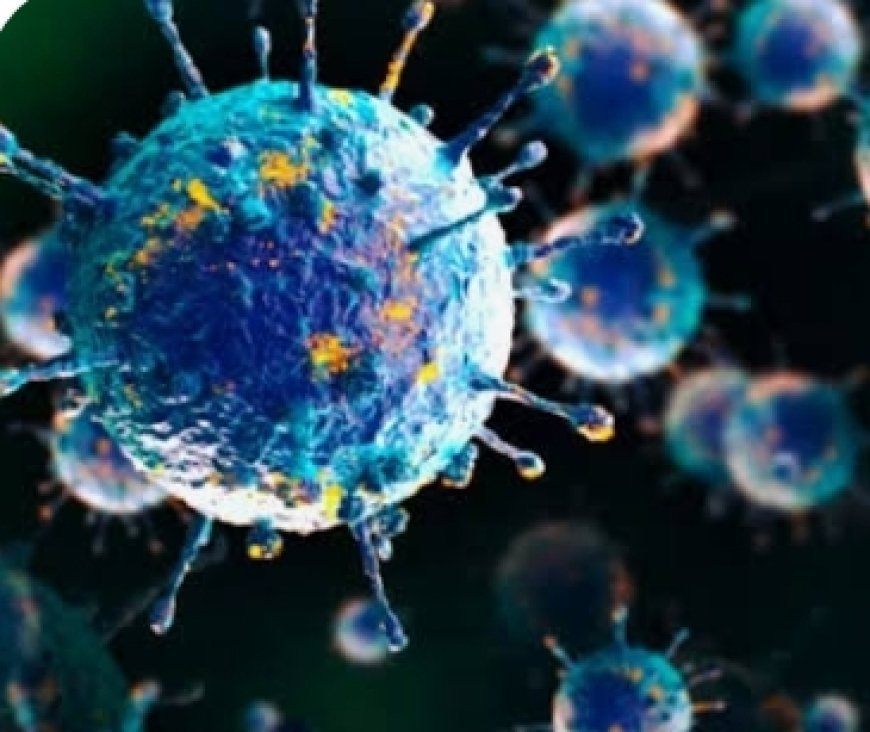 First Human Case Of Shamonda Virus Confirmed In France, Patient Dies; WHO Says No Risk To General Population At This Stage